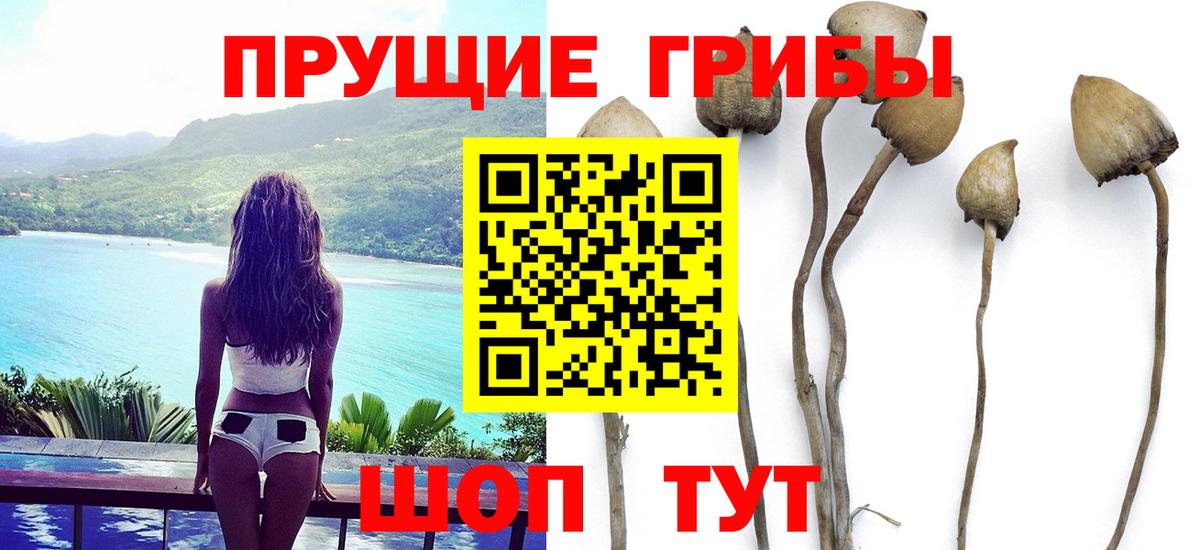 Галлюциногенные грибы Magic Shrooms  Вход с VPN  Лесной 